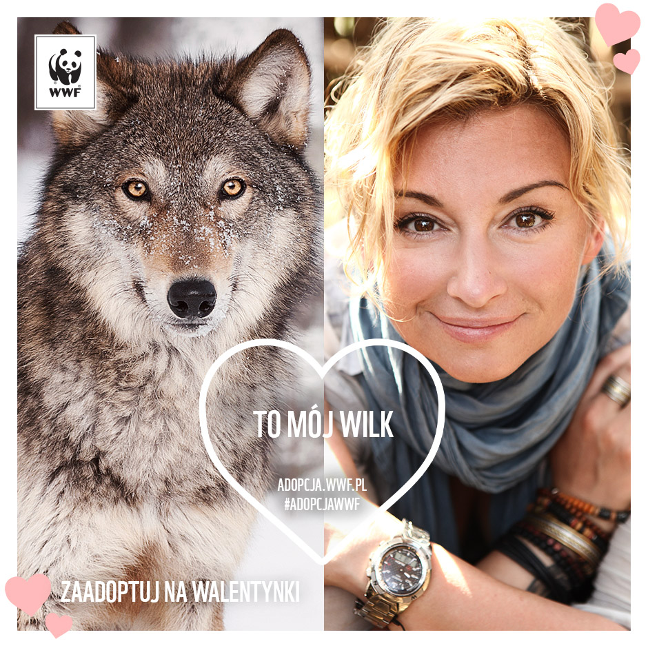 wwf_kotydlatygrysa_fb_walentynki_wilk_martyna