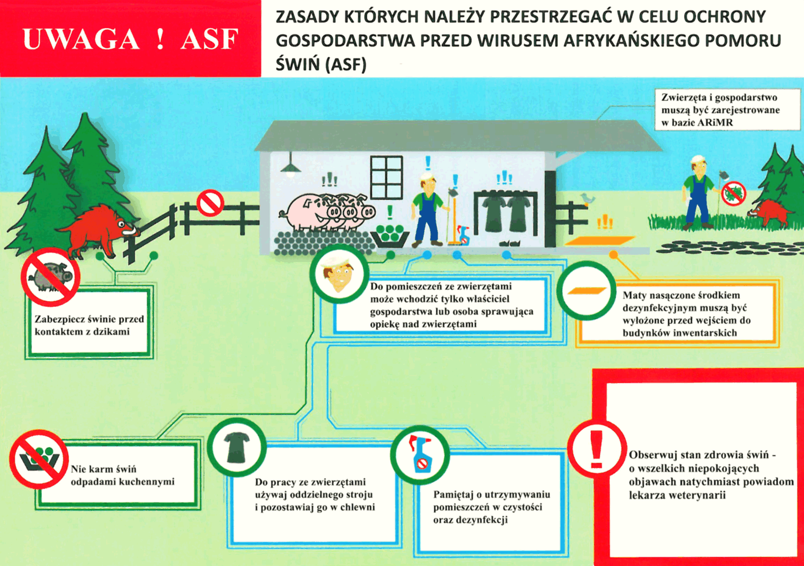 Schemat - zasady ochrony gospodarstwa przed ASF